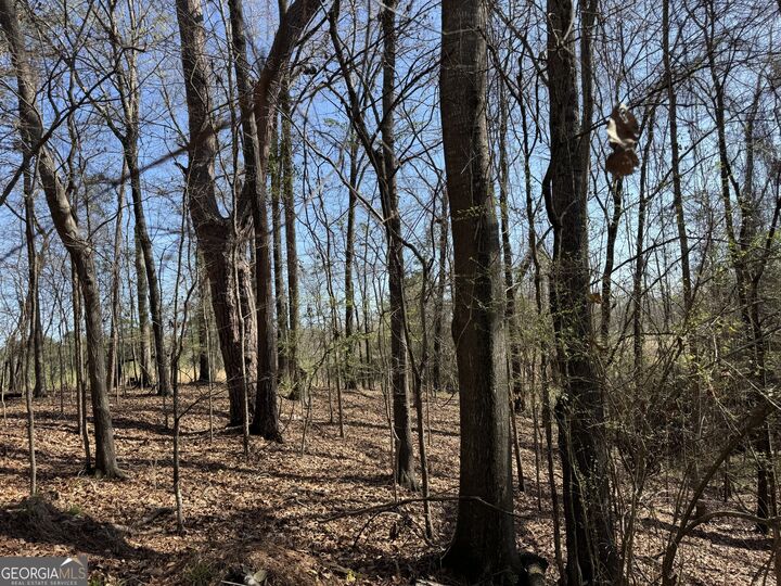 Property Photo: 1972 Wood Valley Road GA 31211