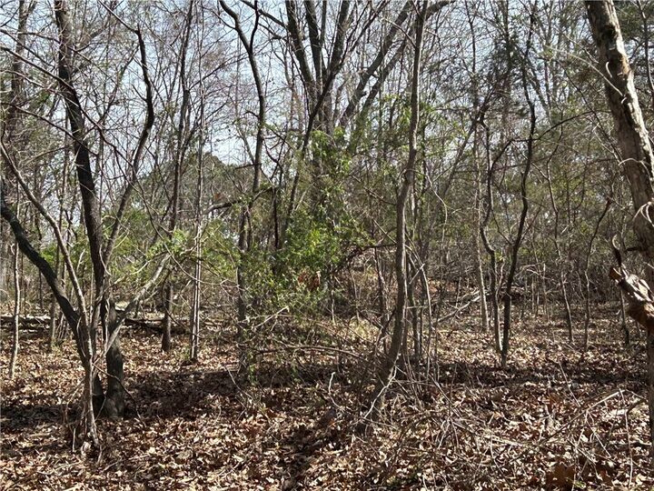 Property Photo:  Tbd Trammell (Lot 7) Drive  AR 72745 