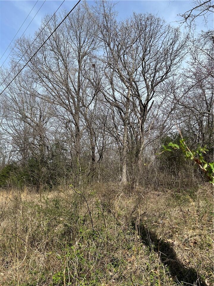 Property Photo: Tbd Trammell (Lot 8) Drive AR 72745