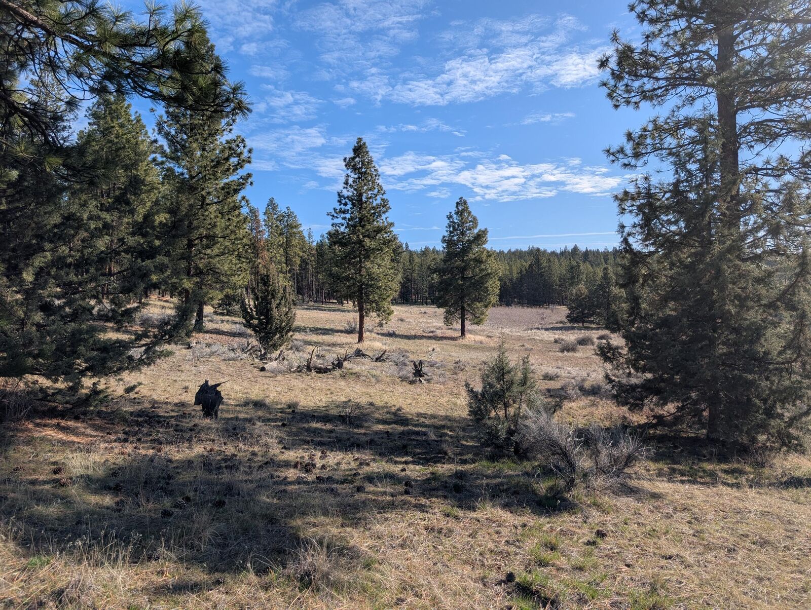 Property Photo:  28660 Yonna Wood Road  OR 97623 