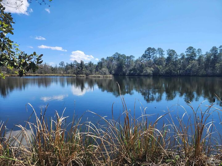 Property Photo: 0 Munson Hwy FL 32570