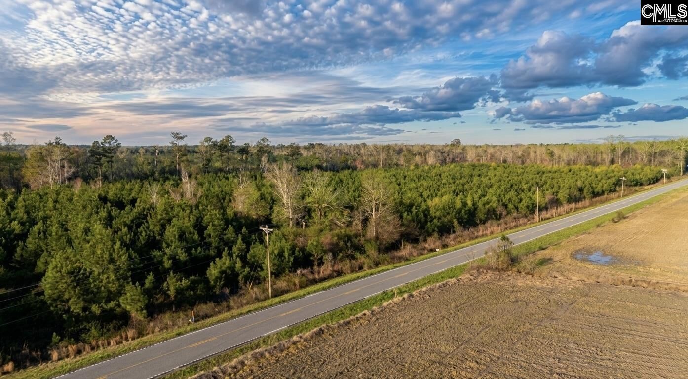 Property Photo:  Tbd Bay  SC 29133 