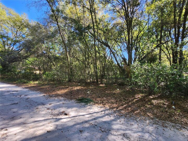 Property Photo:  Tbd SE 36th Court  FL 34491 