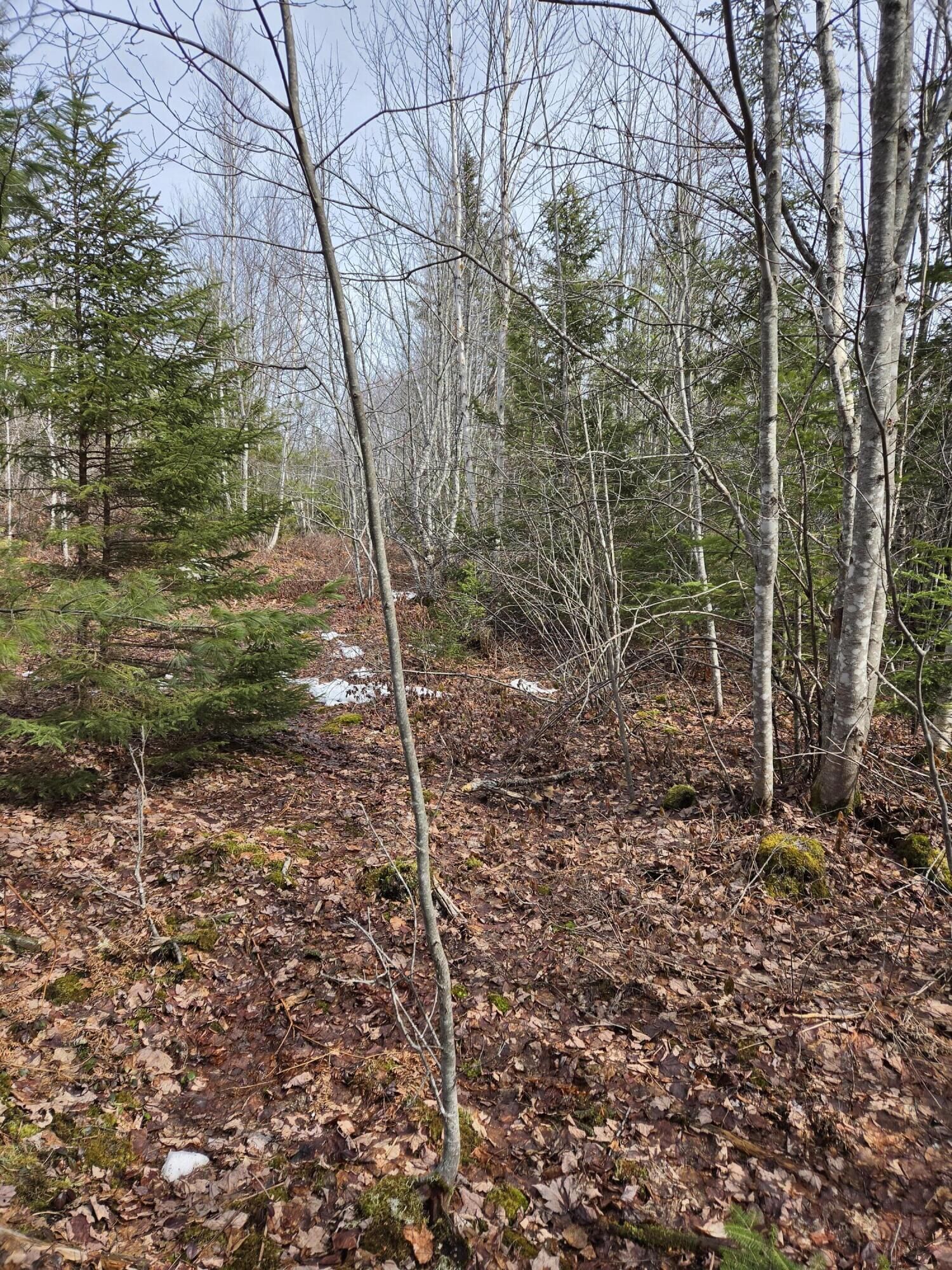 Property Photo:  0 Lots 3&4 Northfield Road  ME 04654 