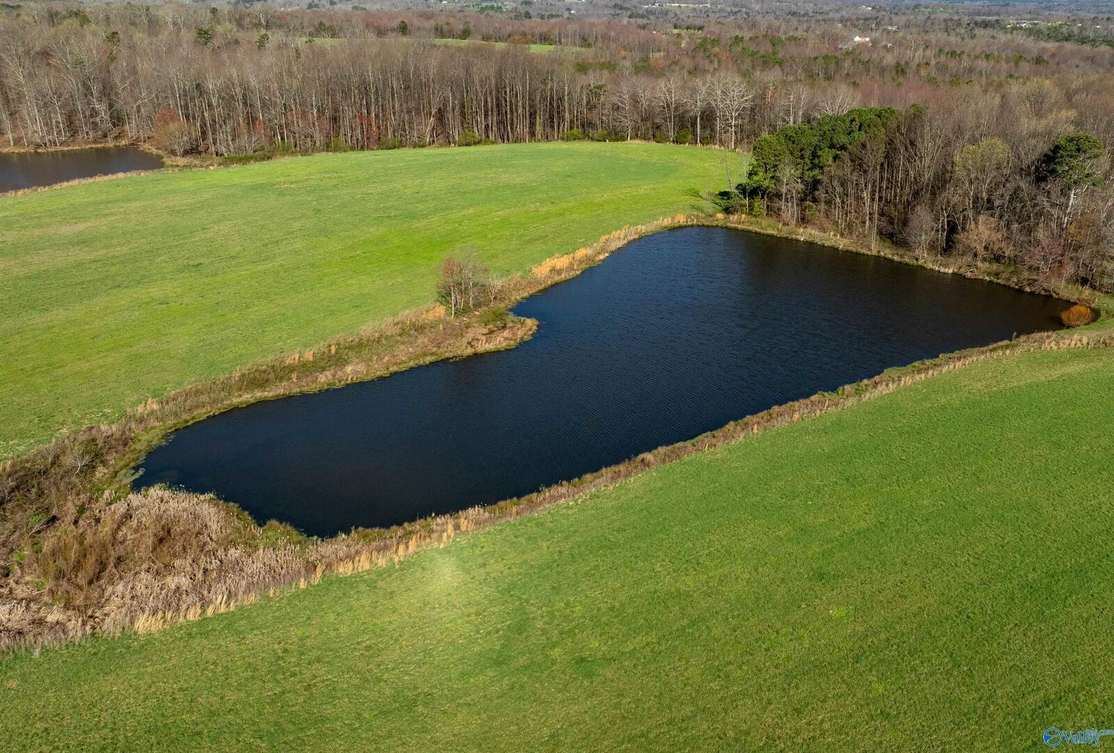 Property Photo: 85 Acres Woodland Drive AL 35981