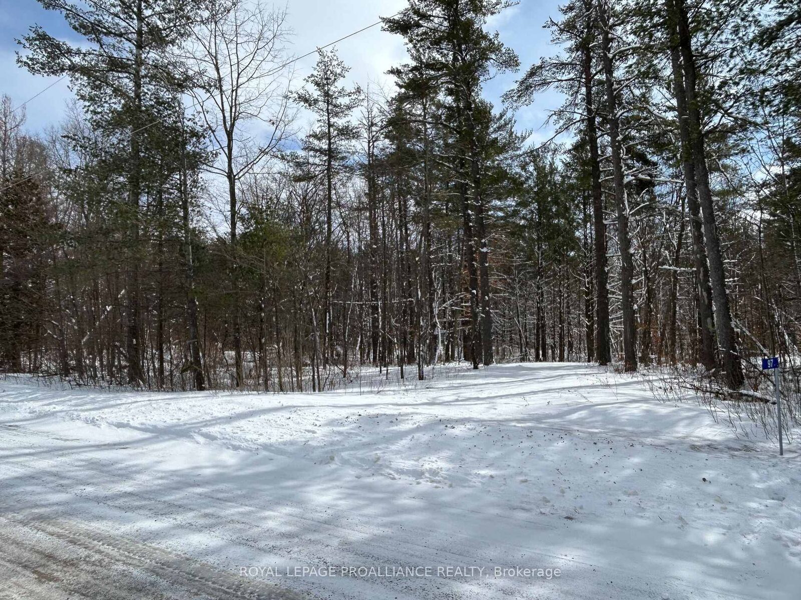Property Photo: 97 Greenly Road ON K0K 3K0