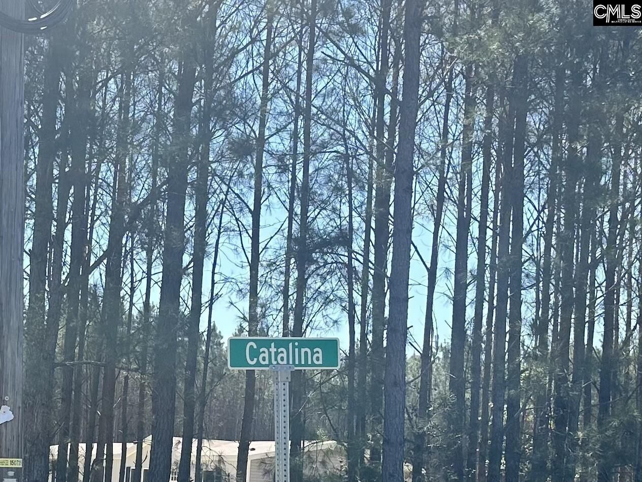 Property Photo:  0 Catalina  SC 29160 