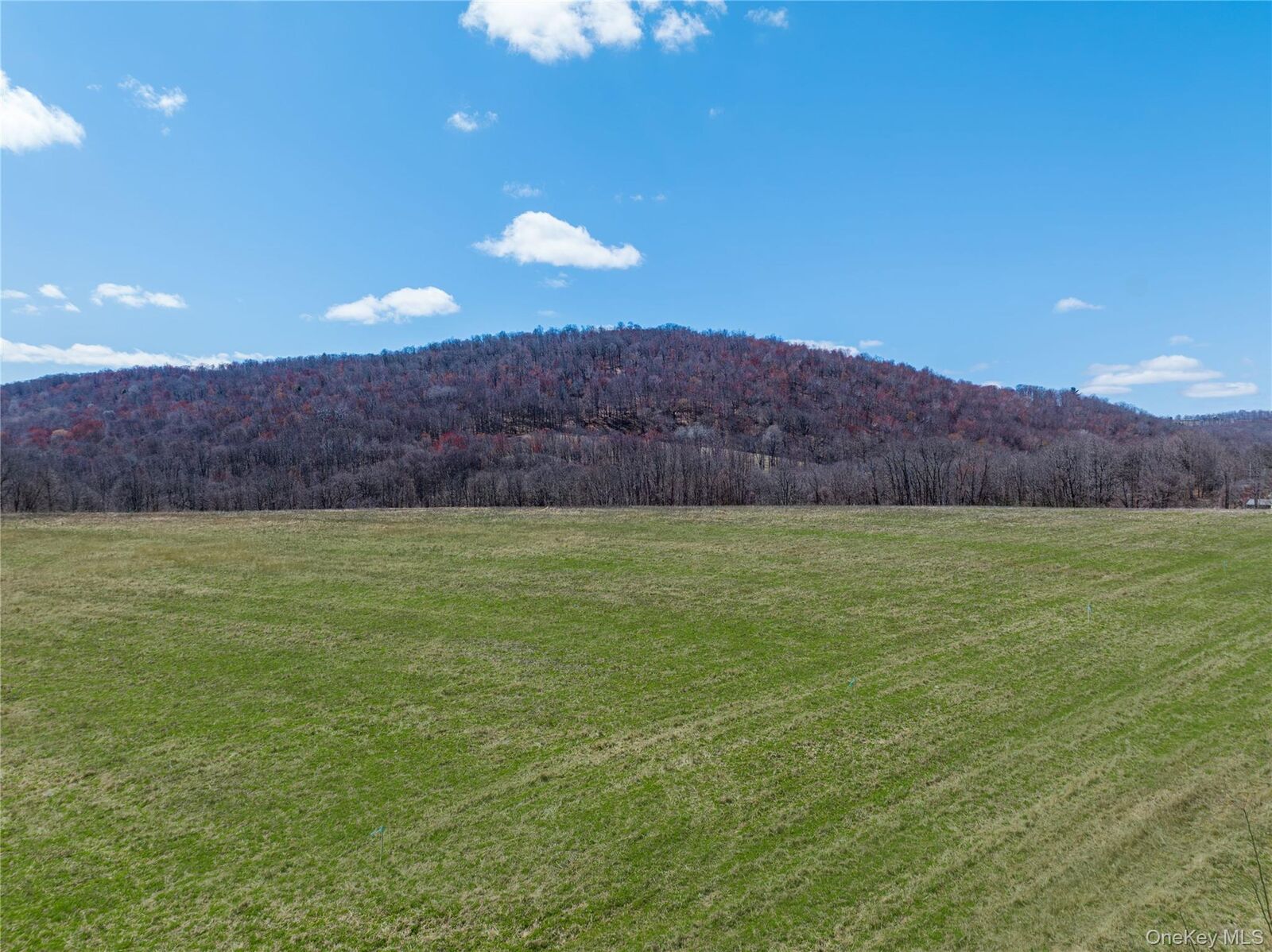 Property Photo:  Lot # 8 McGhee Hill Road  NY 12546 