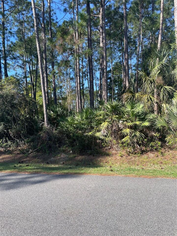 Property Photo:  69 Lindsay Drive  FL 32137 