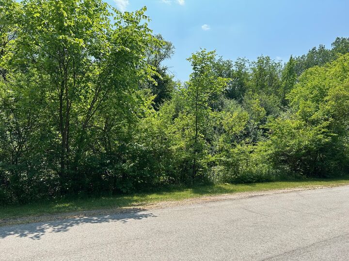 Property Photo: Lot Foster Avenue IL 60172