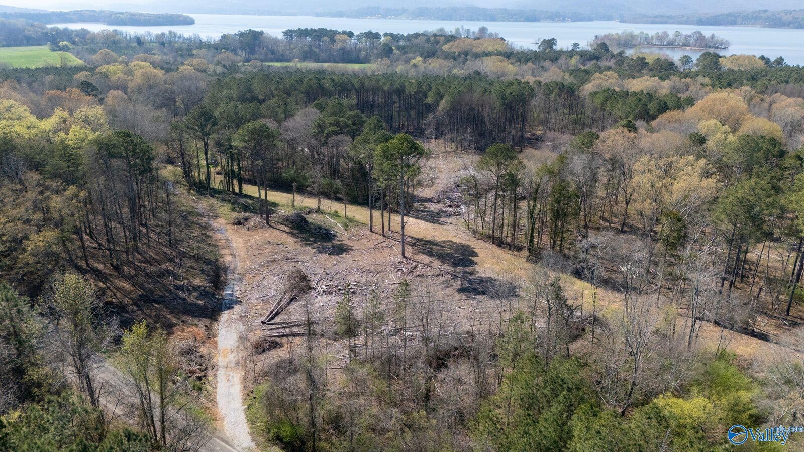 Property Photo:  20.6 Acres Murphy Hill Road  AL 35755 
