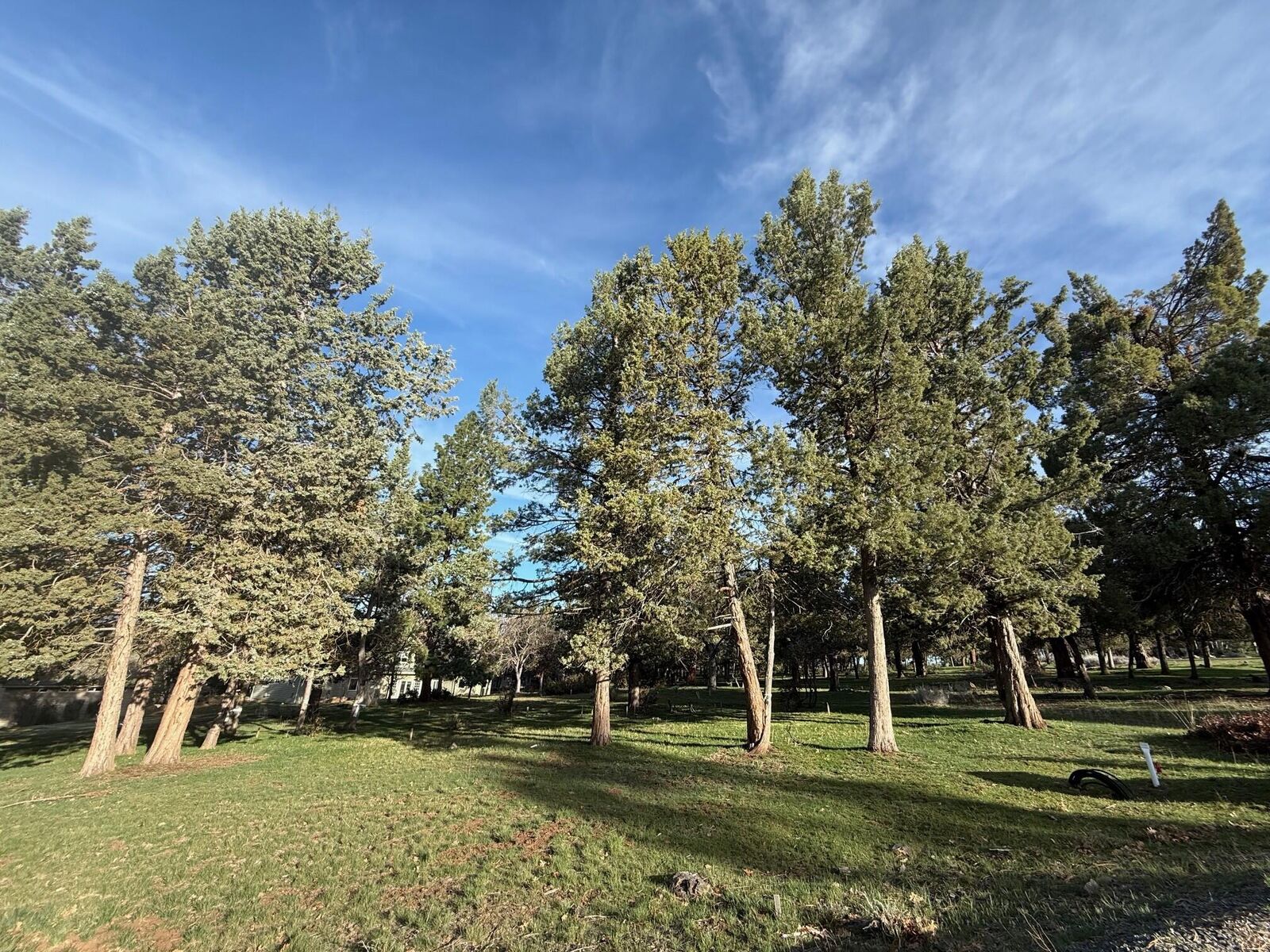 Property Photo:  0 Rock Dove Court Lot 231  OR 97601 