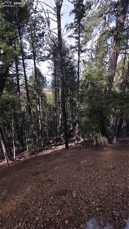 Property Photo:  157 Gitchigoomee Trail  CO 80863 
