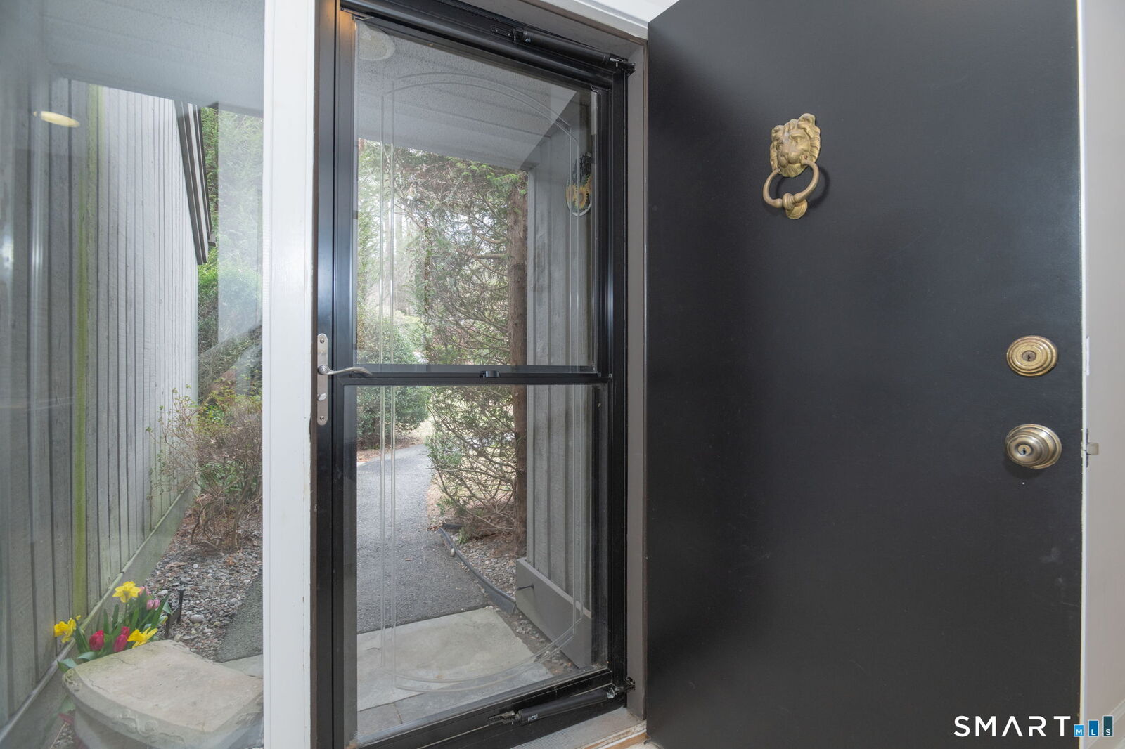 Property Photo: 261 Heritage Village CT 06488