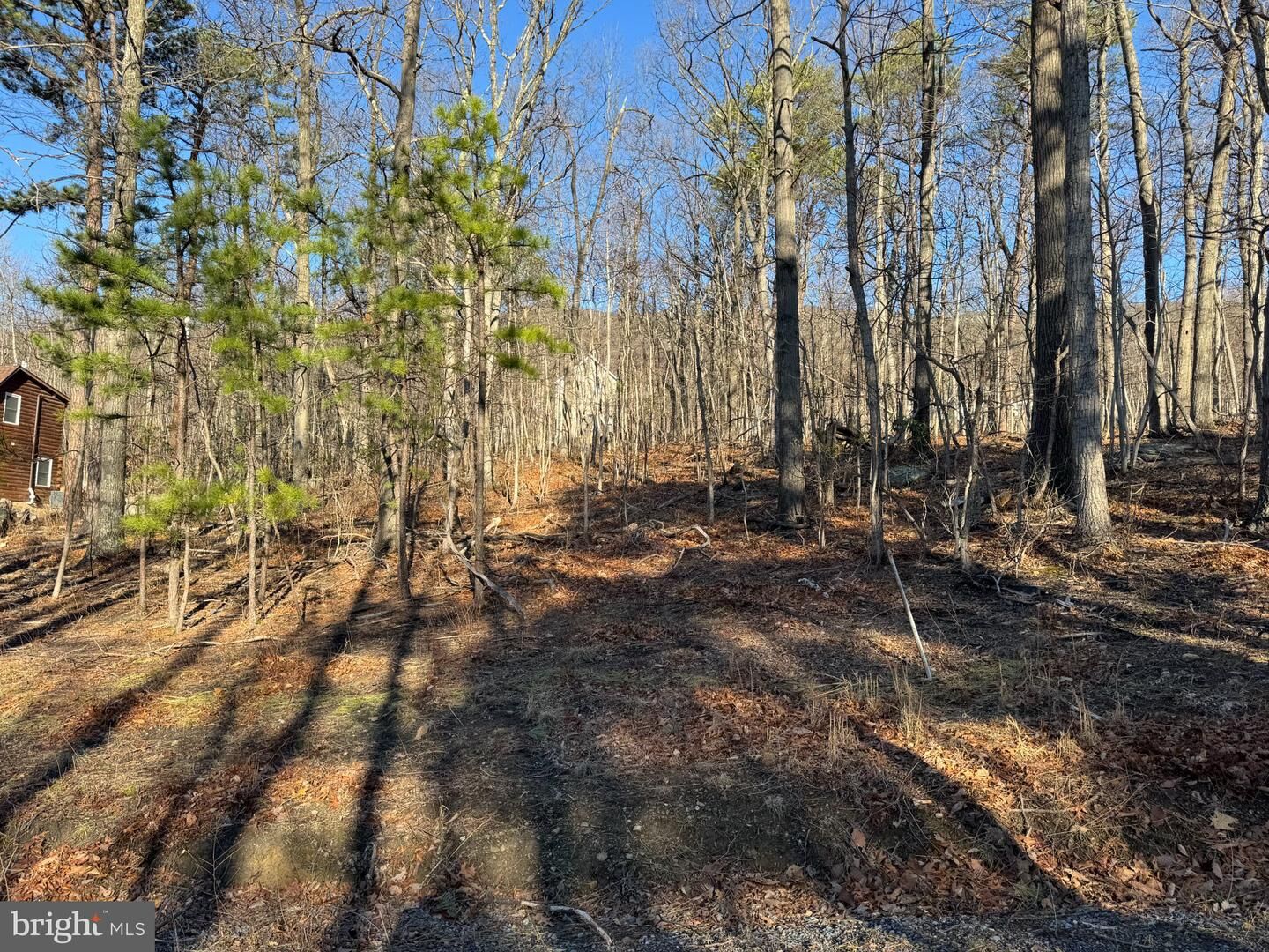 Property Photo:  Lot 5 Quail Drive  VA 22602 