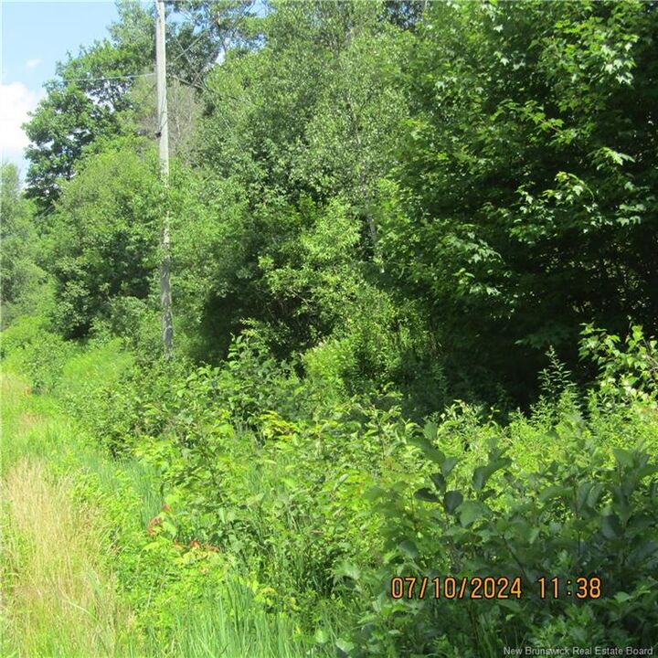 Property Photo: Lot 82-11 Route 770 NB E5C 1E9
