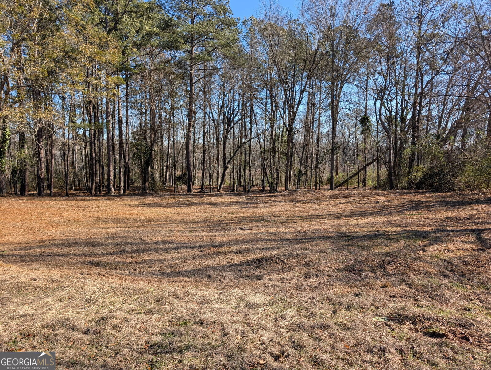 Property Photo:  115 Jones Street  GA 30240 