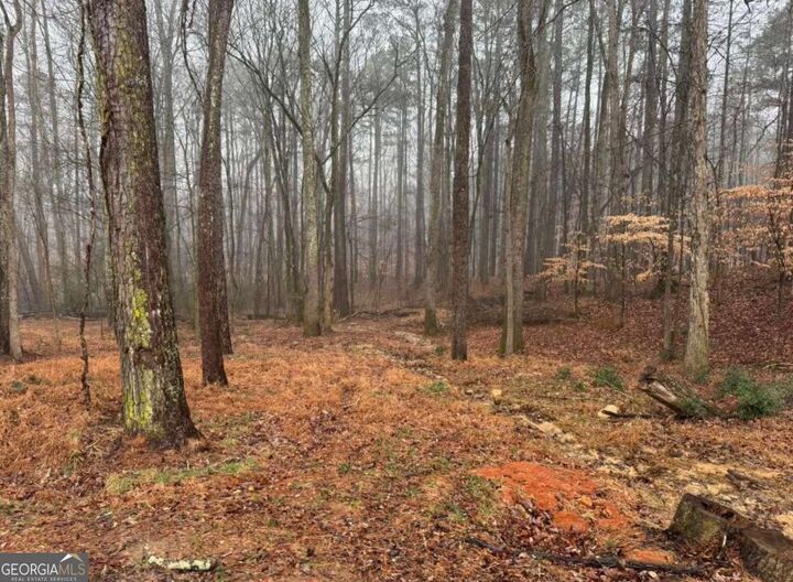 Property Photo:  138 Oak Beach Drive SE  GA 30101 