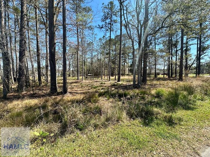 Property Photo:  102 Trail South  GA 31320 