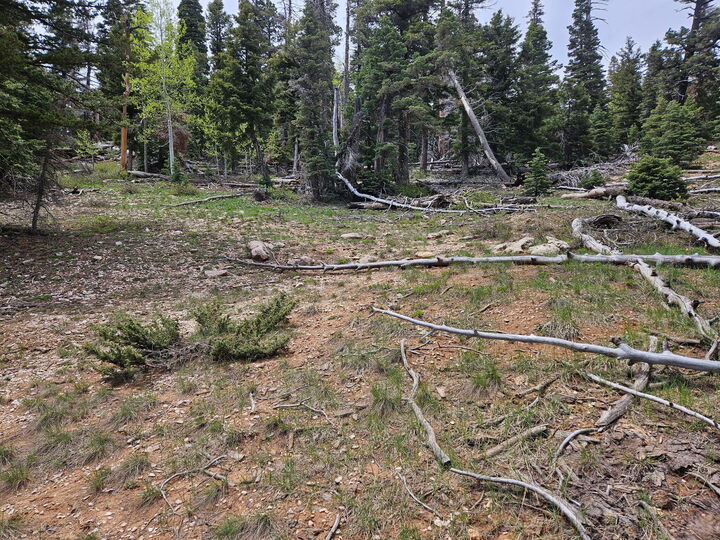 Property Photo:  6250 W Brook Ln  UT 84762 