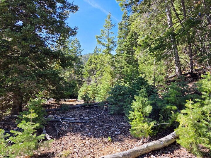 Property Photo:  Lot 42 Bonnie Green Dr  UT 84762 