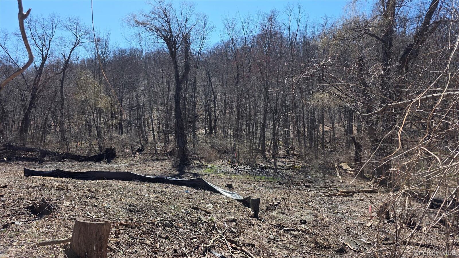 Property Photo:  91 Barrett Hill Road  NY 10512 