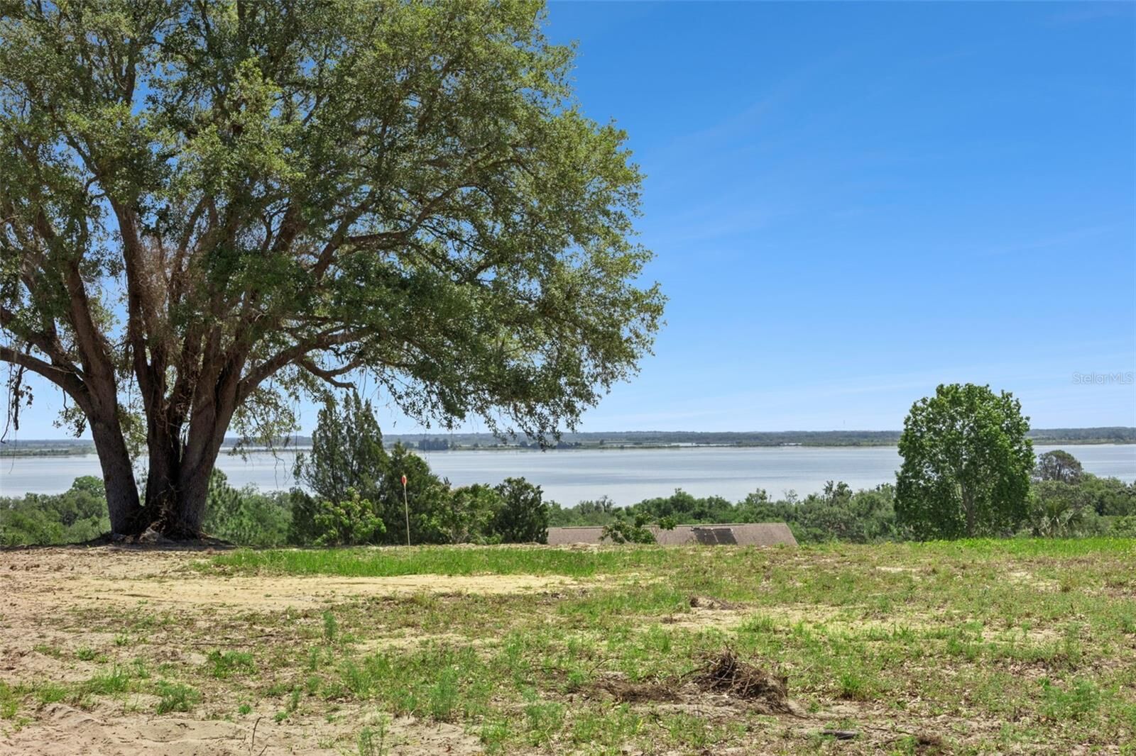 Property Photo: 0000 Bertsville &Amp Griffin View Road FL 32159