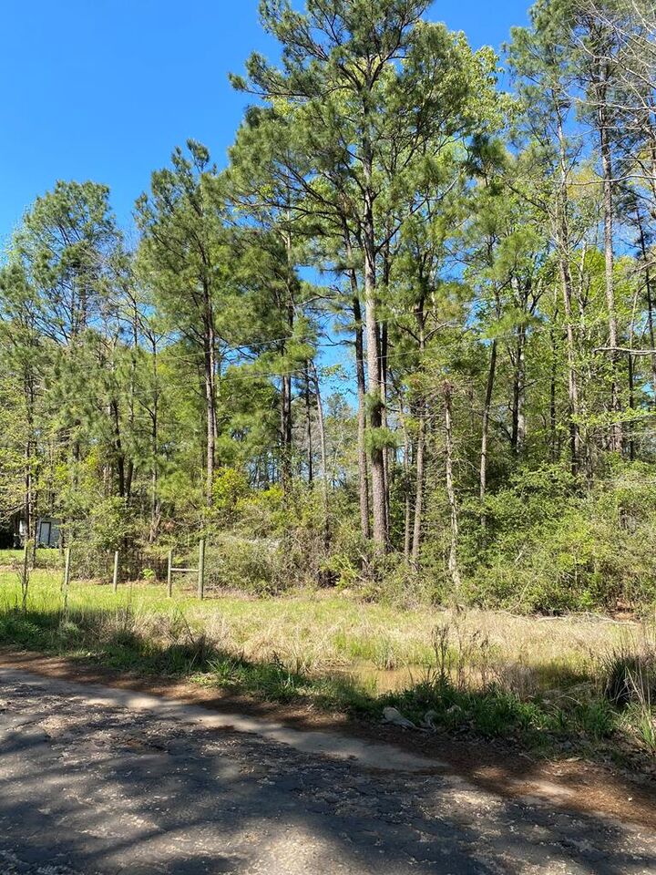Property Photo:  Lot 189 Lakeside Drive  TX 75944 