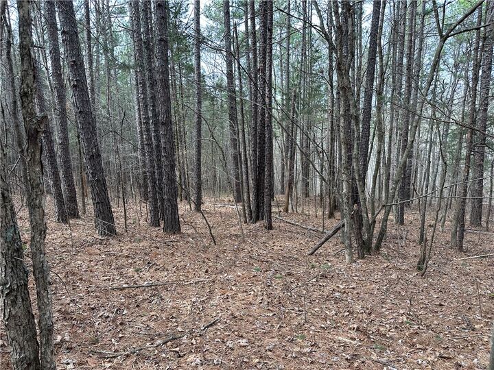 Property Photo:  Nc 6220  AR 72641 