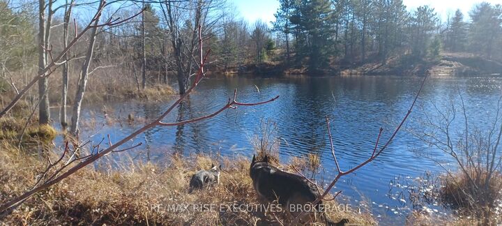 Property Photo: Kaladar Con 9 Lt 21 N/A ON K0H 2G0