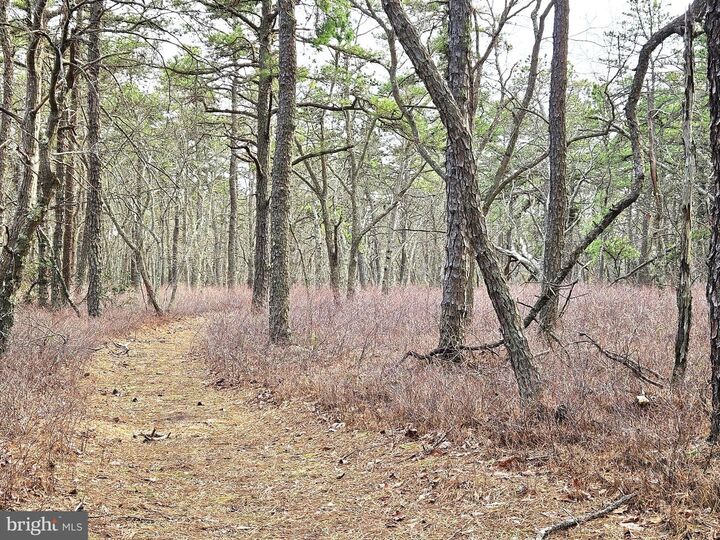 Property Photo:  0 Birchwood  NJ 08087 