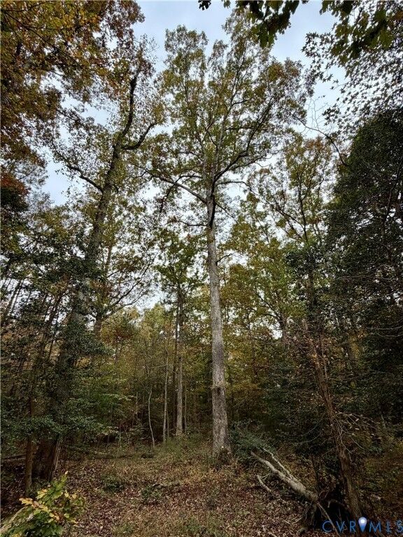 Property Photo:  15000 Bradley Bridge Road  VA 23838 