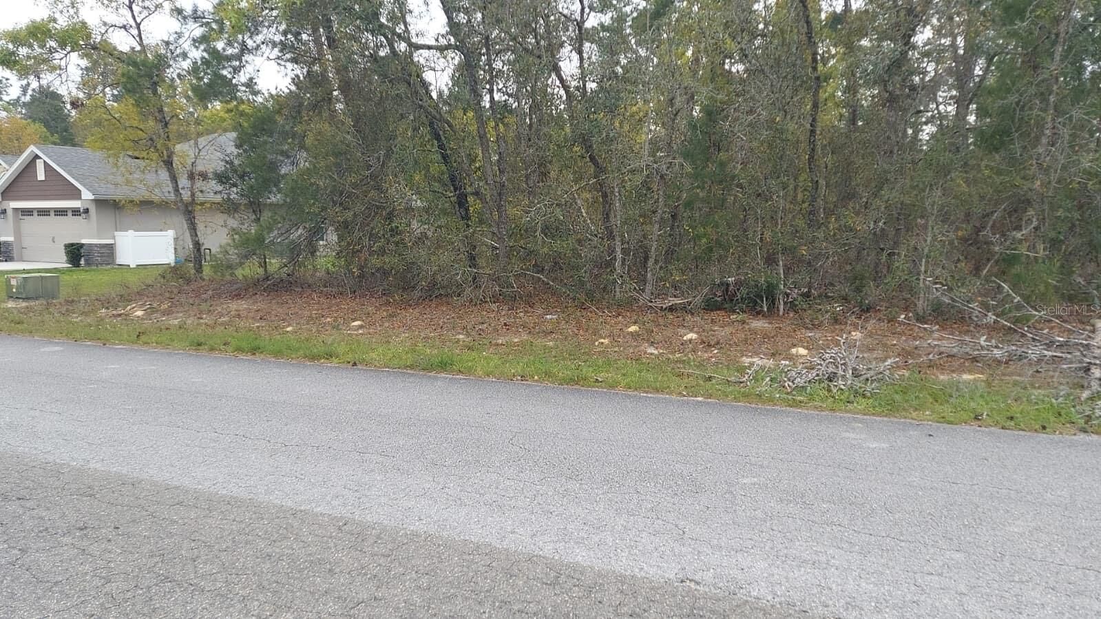 Property Photo:  3 Tall Marigolds Ct,  FL 34446 