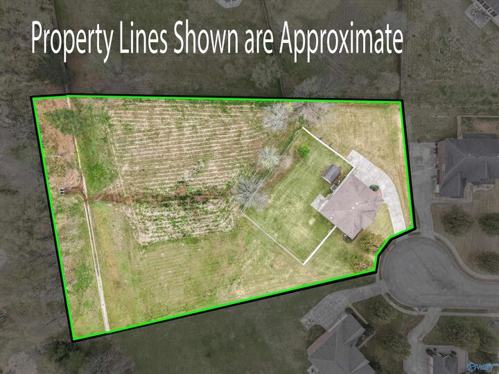 Property Photo: 114 Berry Hill Drive AL 35761