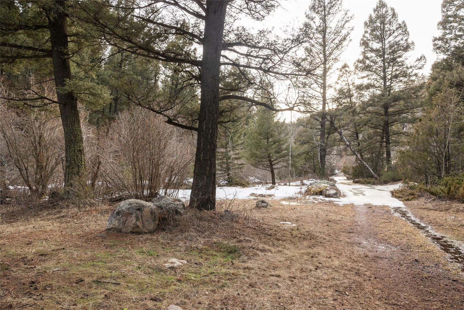 Property Photo:  Tbd Elkhorn Road  MT 59632 