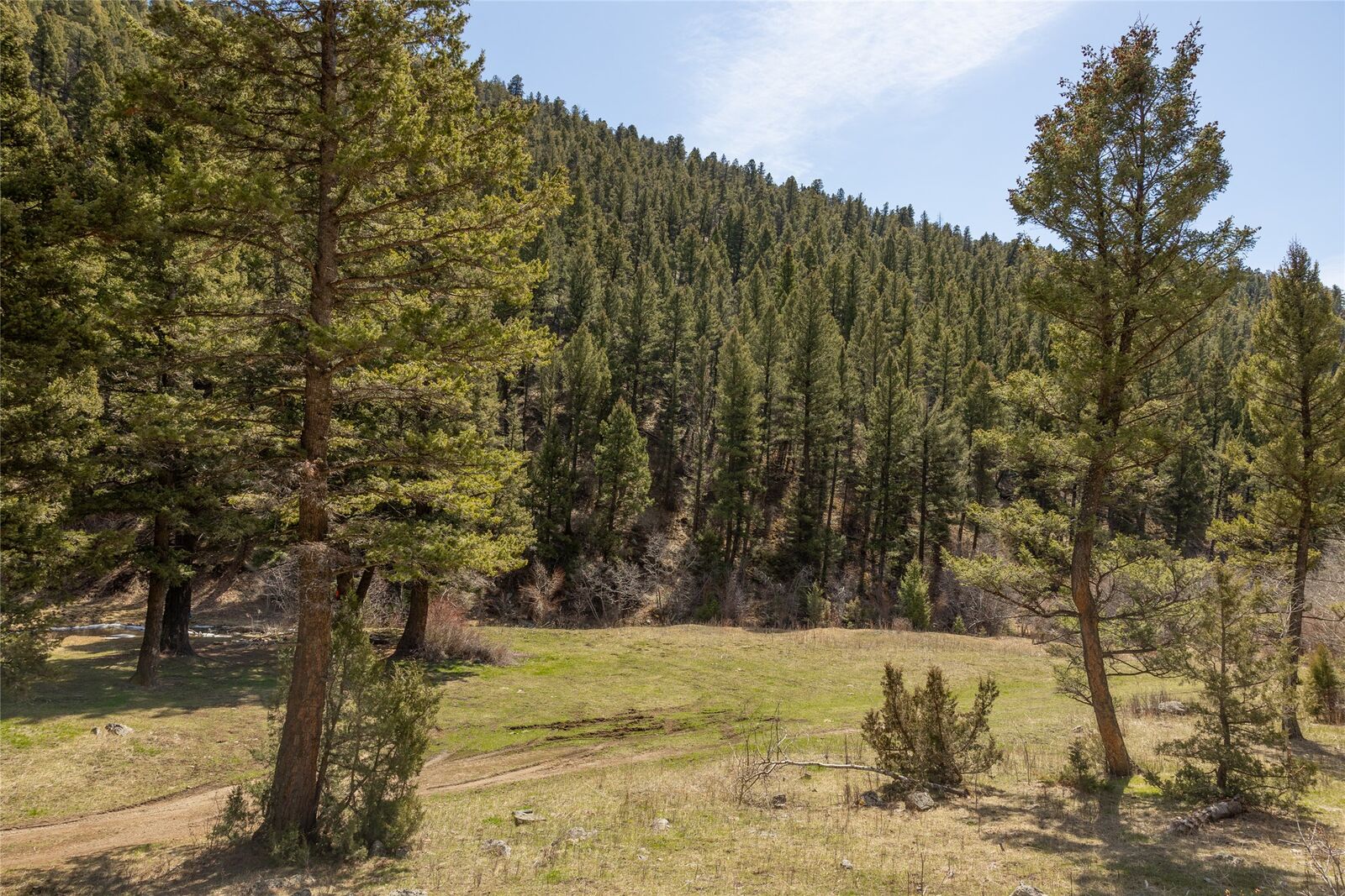 Property Photo:  Tbd Elkhorn Road  MT 59632 