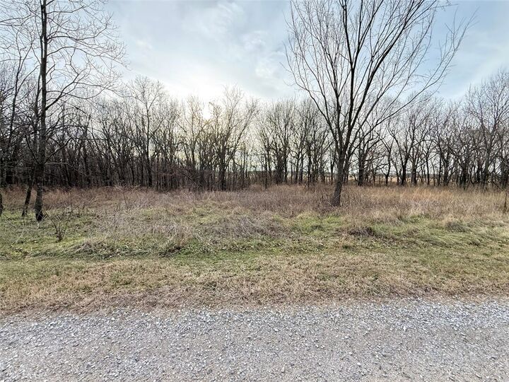 Property Photo:  Lot 2 Chalybeate  AR 72768 