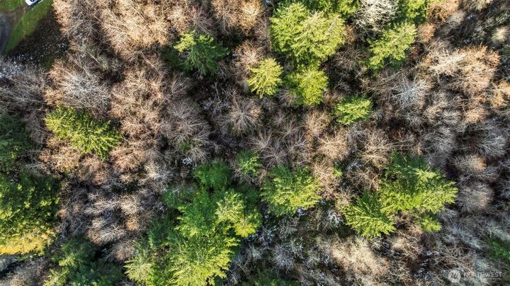 Property Photo:  16506  118th Street NW  WA 98329 