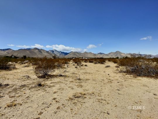 Property Photo: Greasewood Ave CA 93527