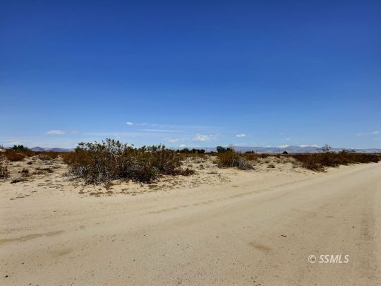 Property Photo:  Greasewood Ave  CA 93527 