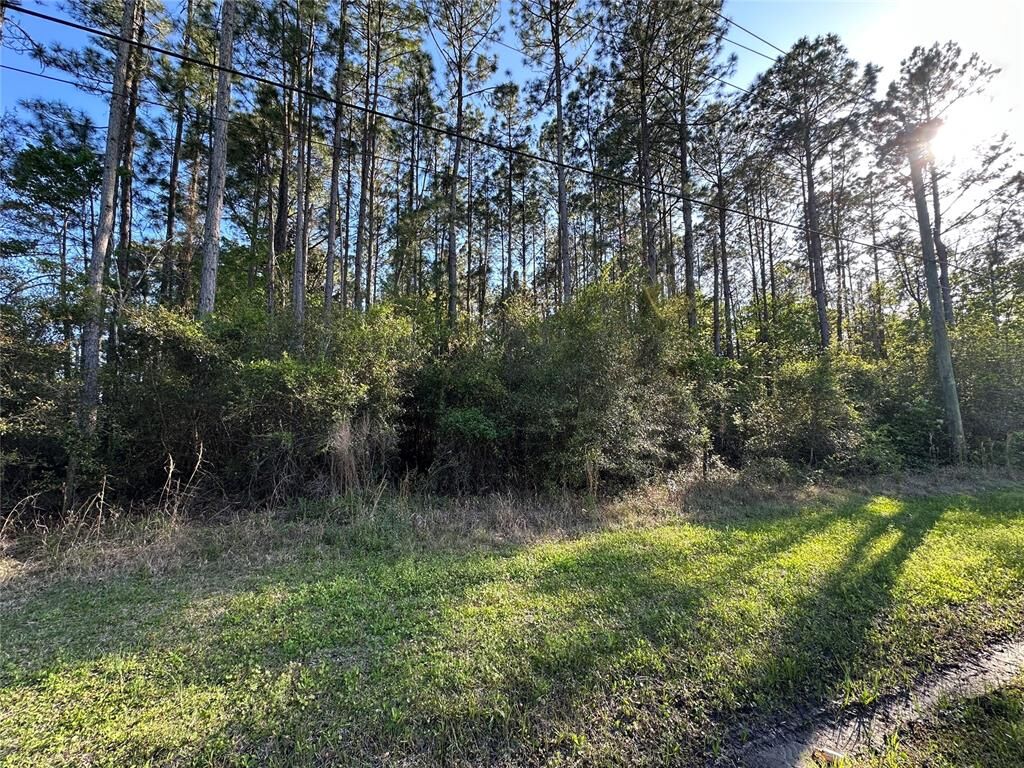 Property Photo:  Lot 25-27 Radio Avenue  FL 32097 