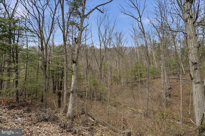 Property Photo:  Lot 3 Arapaho Lane  VA 22655 