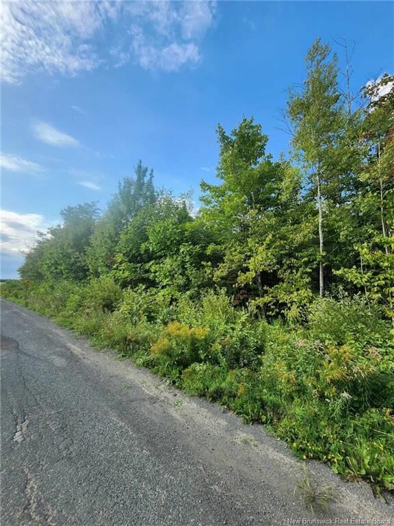 Photo de la propriété: Lot Watson Settlement Road NB E7M 5W6