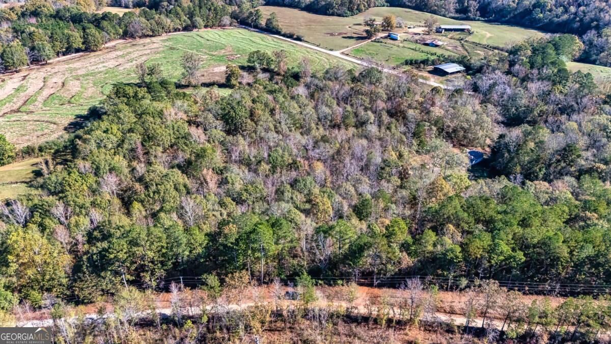 Property Photo:  0 Holly  GA 30217 