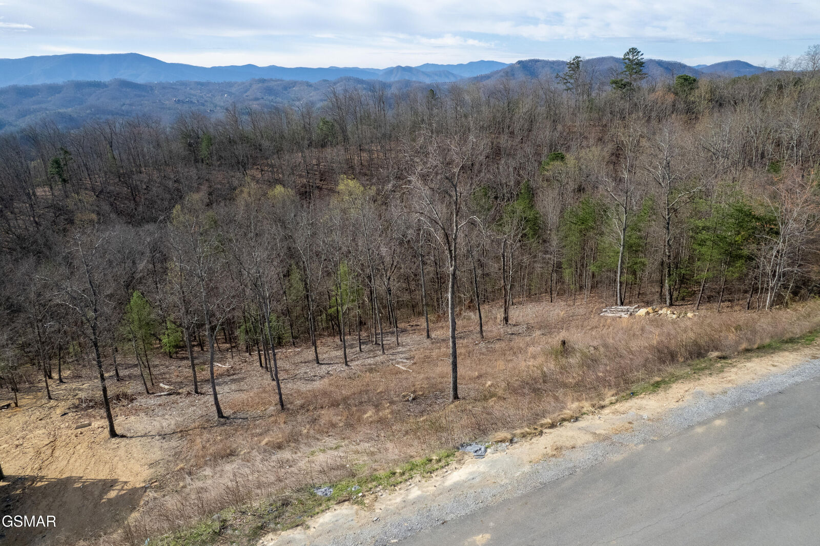 Property Photo:  Lot 102 Laurel Cove Trail  TN 37862 