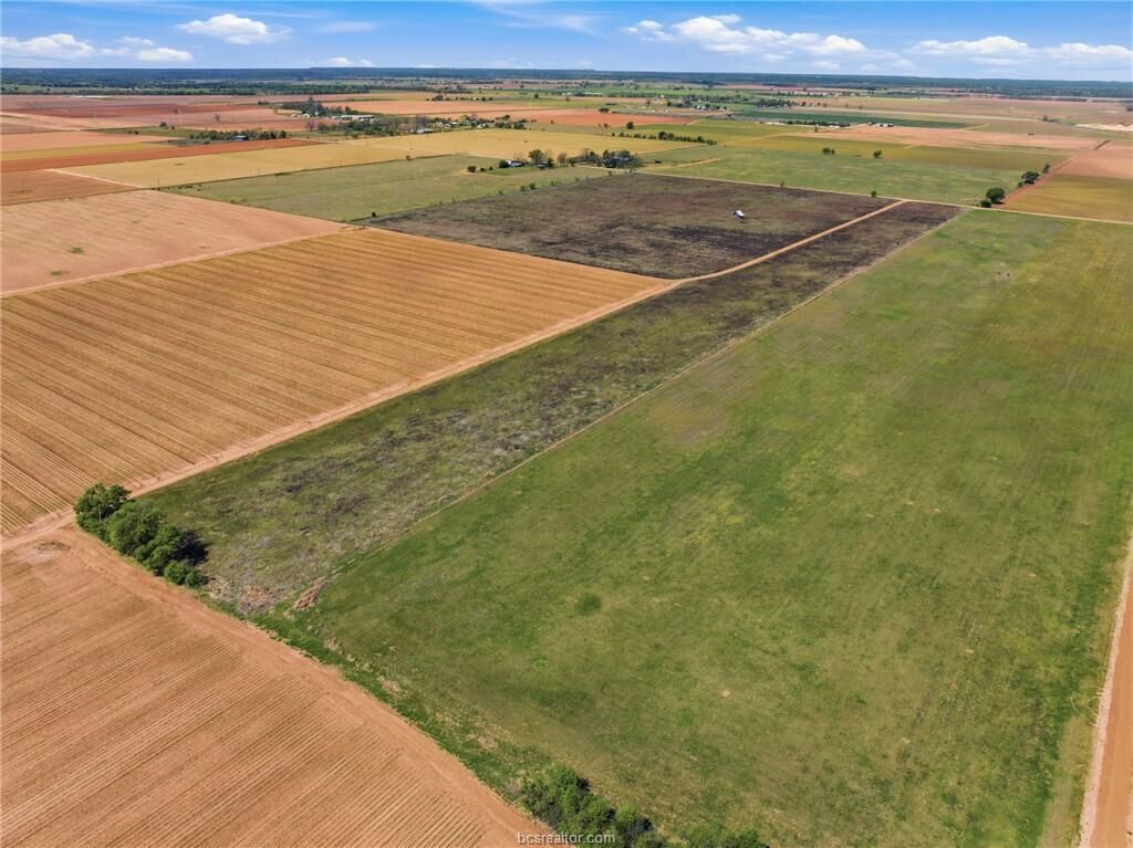 Property Photo:  50.3 Acres Cr 262  TX 77836 