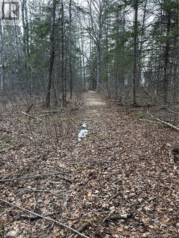 Property Photo:  Lot 23-03 Chemin Du Lac  NB E4K 1P7 