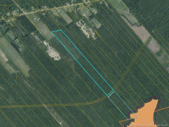 49.57 Acres Off Douglasfield Road — photo 1
