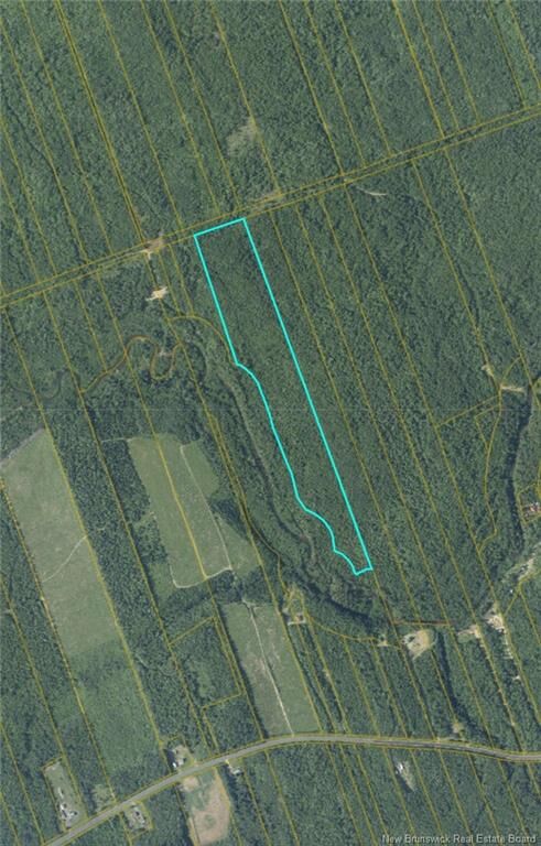 Property Photo: 21.42 Acres Rte 355 NB E8R 2B6