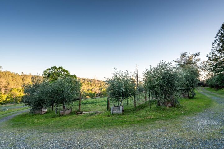 Property Photo:  21041 Dalzell Road  CA 95977 